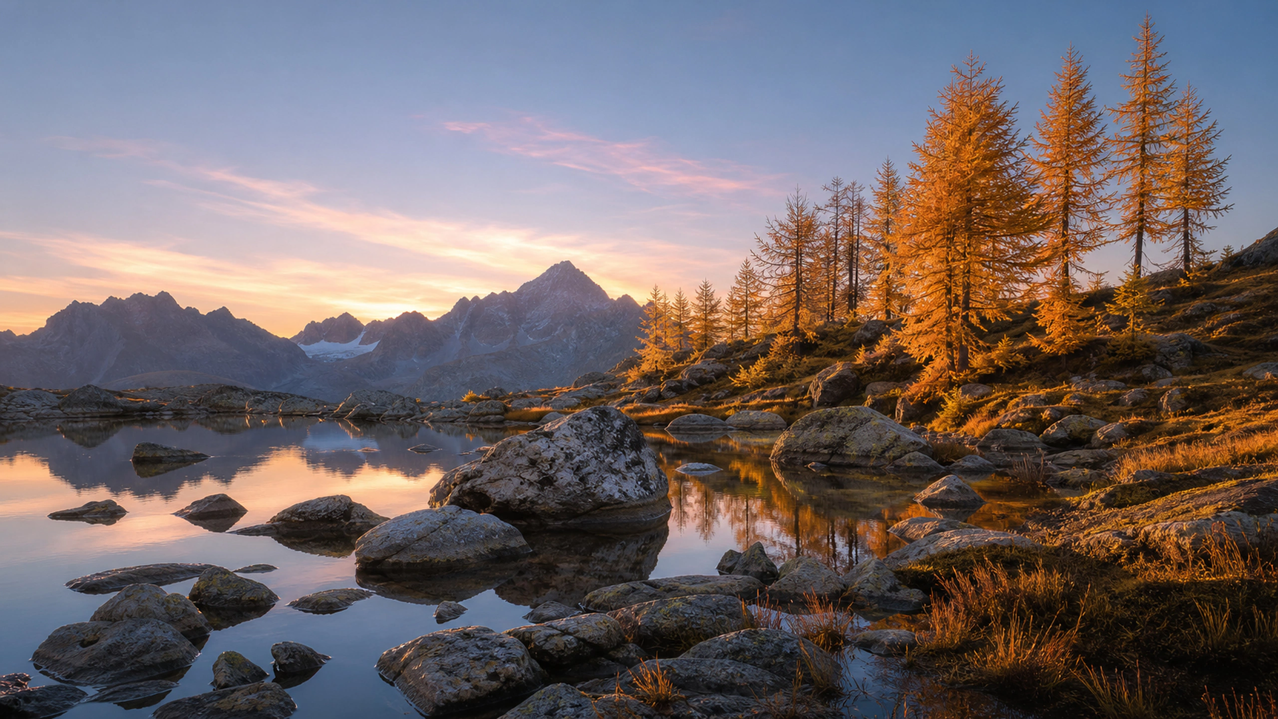 Golden larches beside a still alpine tarn, pale sunrise reflected between boulders, original 4K nature wallpaper