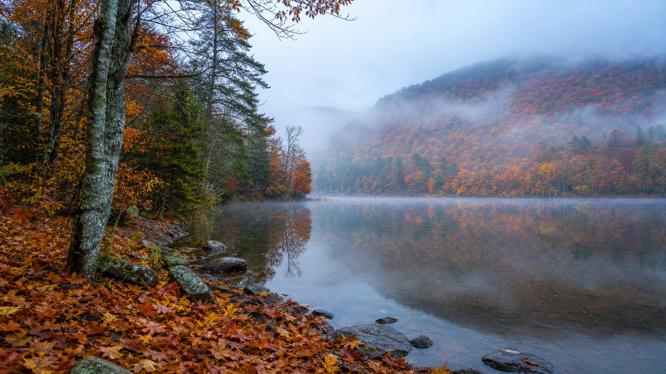 Autumn Mist Lake original 4K seasons wallpaper