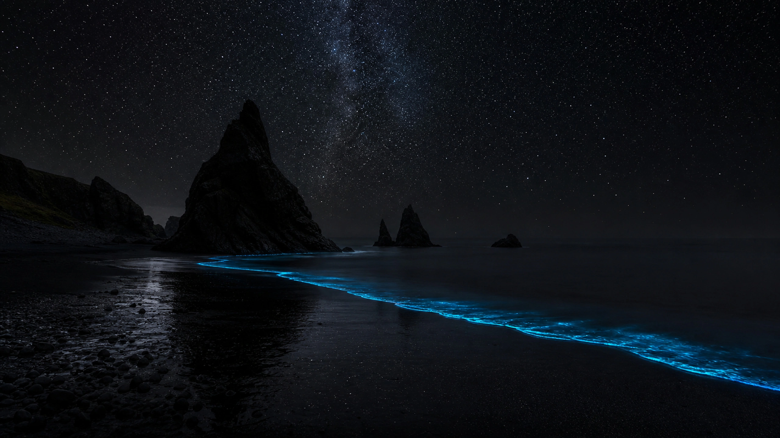 Bioluminescent Black Shore original 4K dark amoled wallpaper