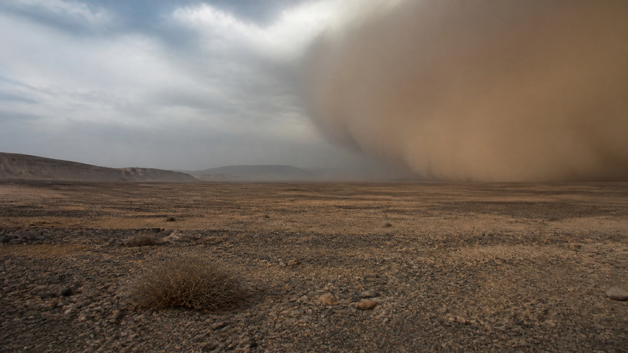 Broad gravel desert beneath an approaching dust wall, stark documentary realism, original 4K desert wallpaper