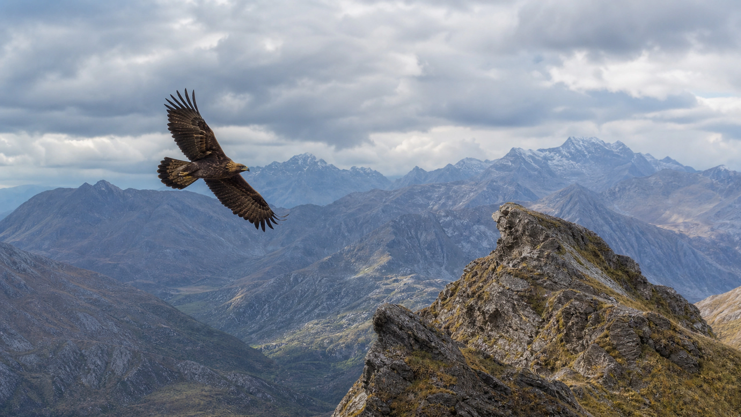 Eagles over Wild Peaks original 4K birds wallpaper