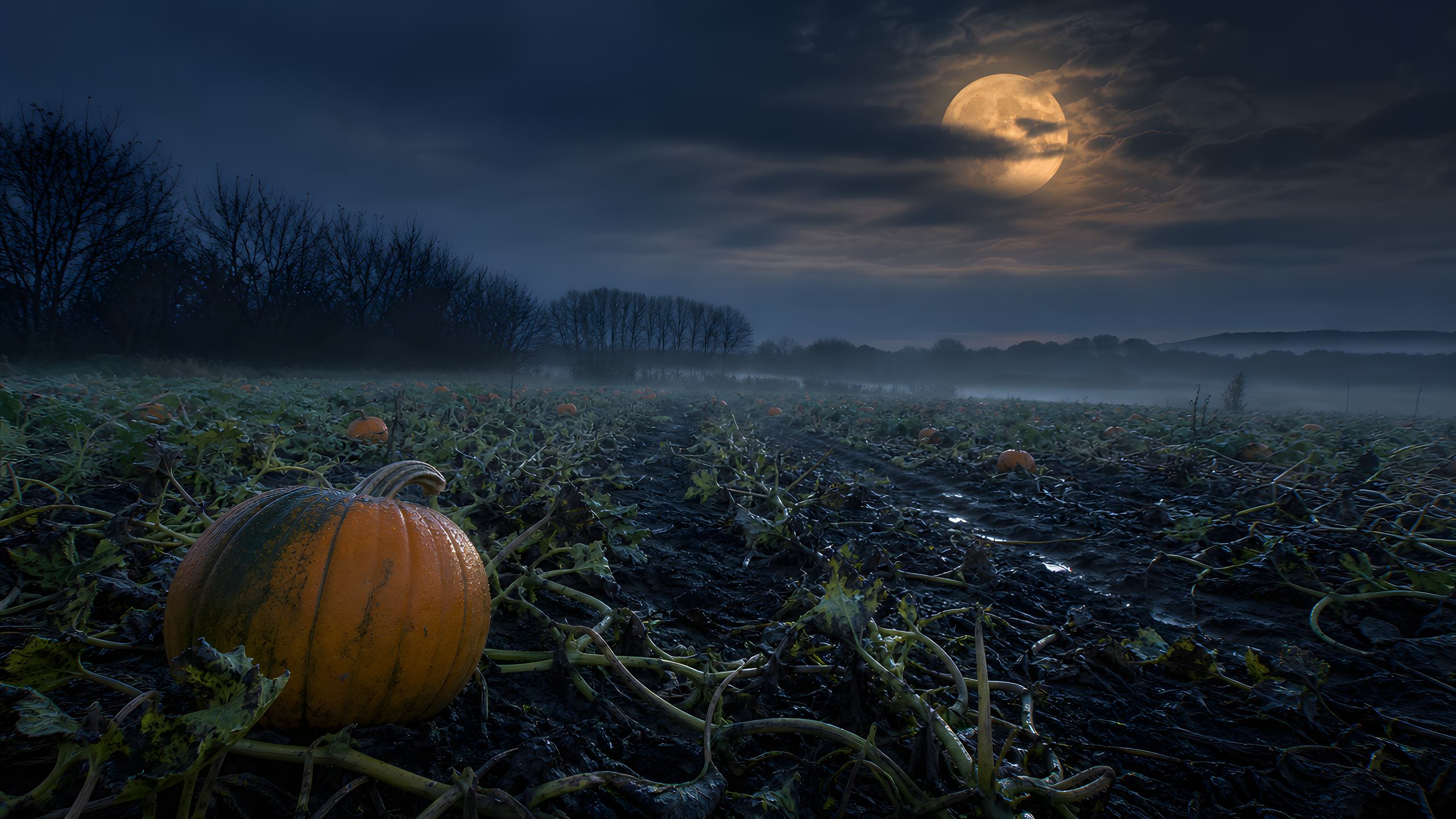 Halloween Nightscapes original 4K seasons wallpaper