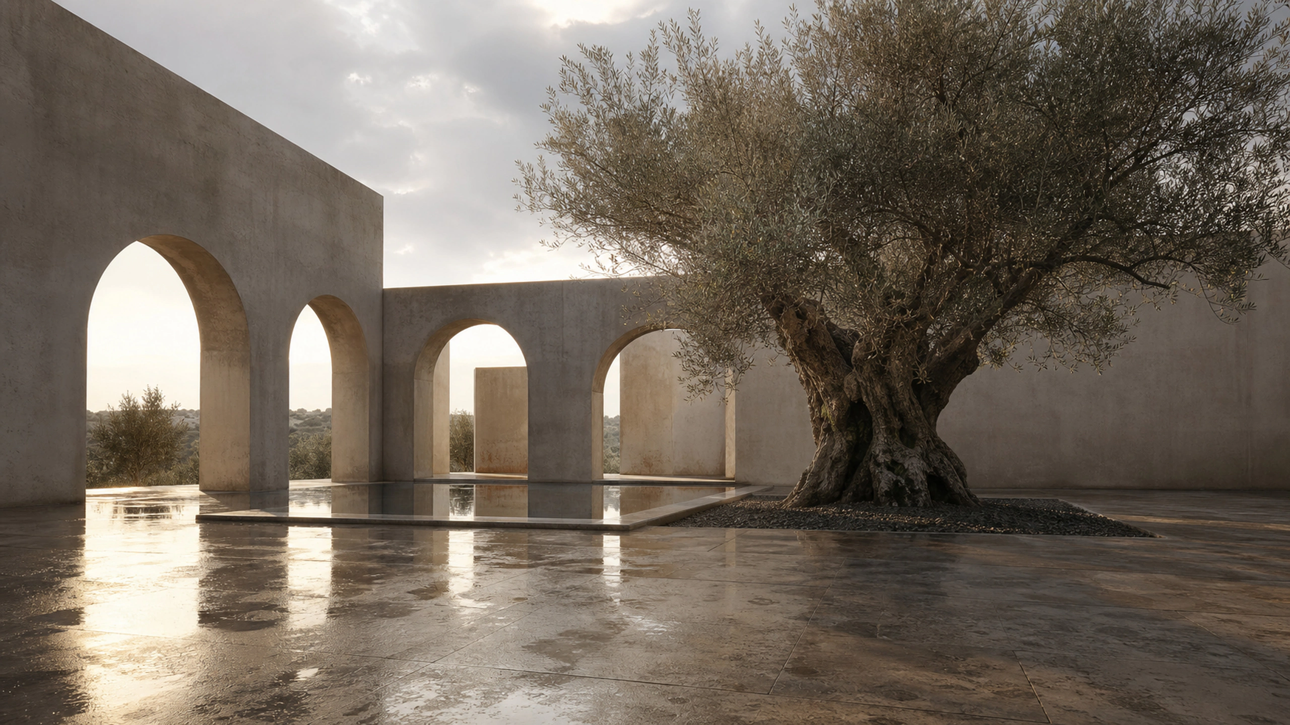 Bare quiet courtyard after rain, pale winter sun and one ancient olive tree, original 4K architecture wallpaper