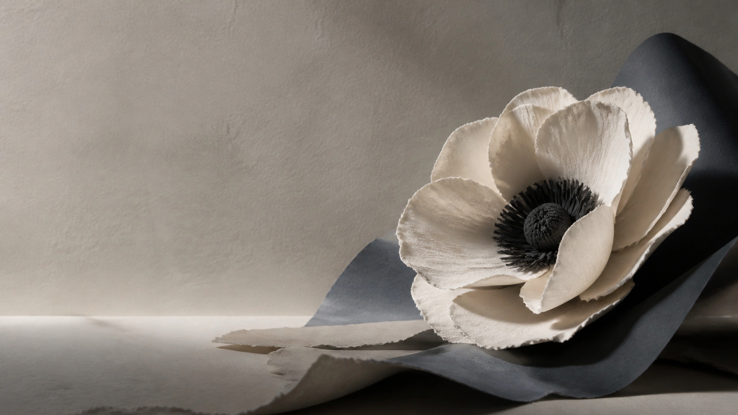 Sculptural paper anemone with dark center and imperfect hand-cut edges, side lighting, original 4K abstract wallpaper