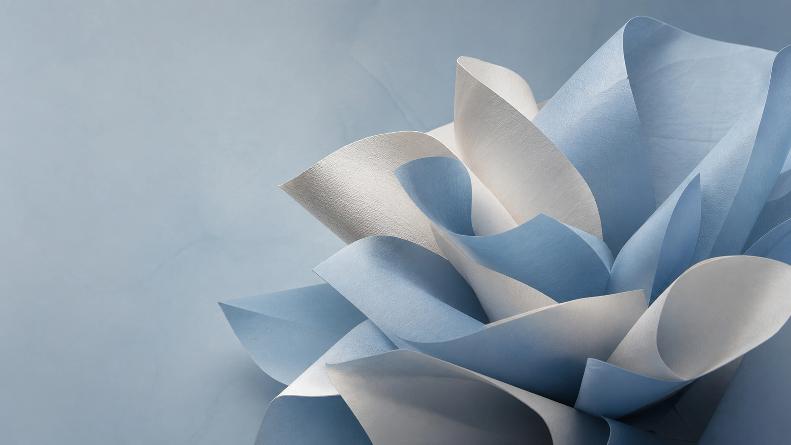 Wide paper ribbons curling into an open flower, powder blue and warm white materials, original 4K abstract wallpaper