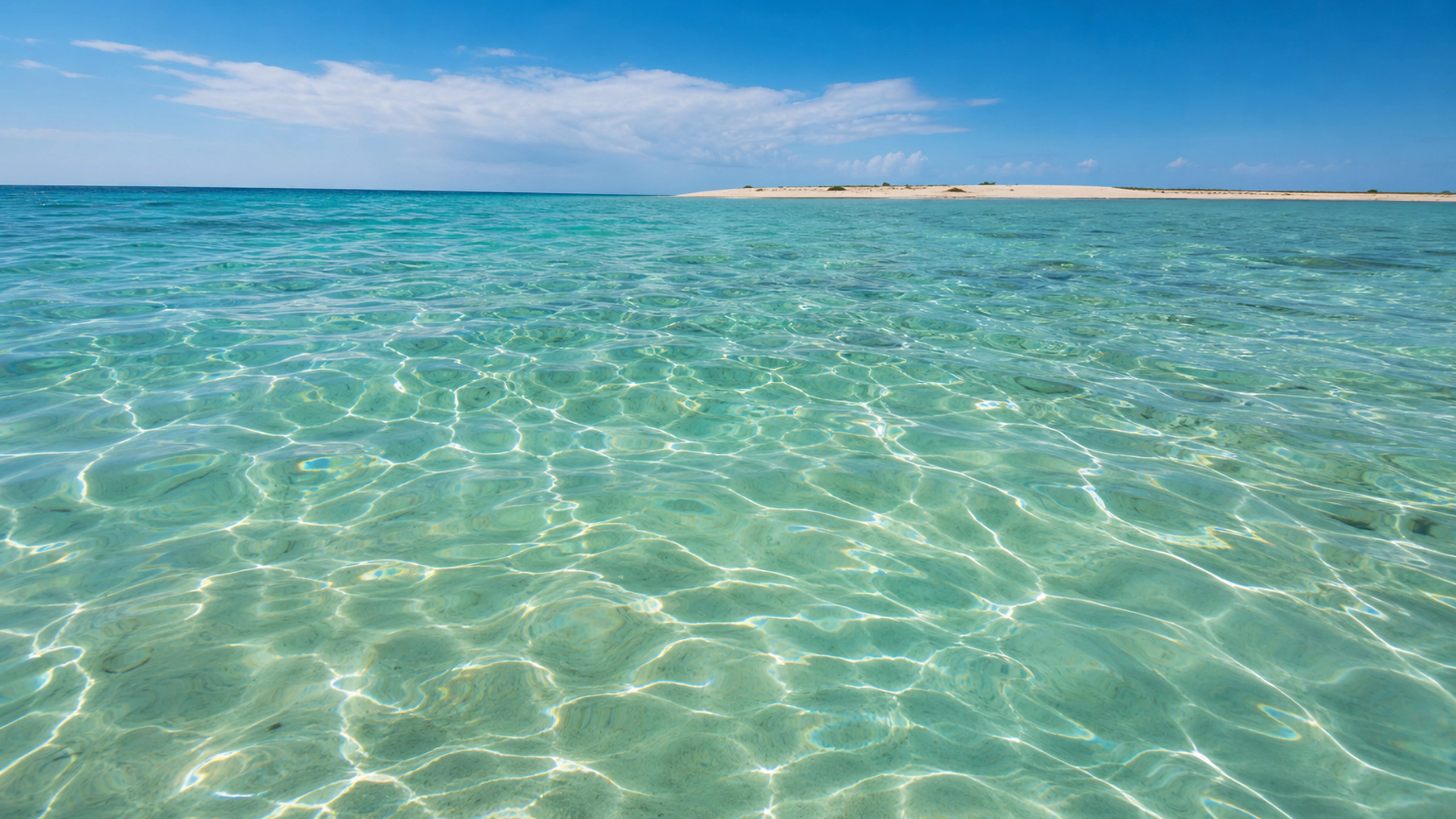 Sunlit shallow sea with intricate ripple caustics, remote sandbar on the horizon, original 4K ocean wallpaper