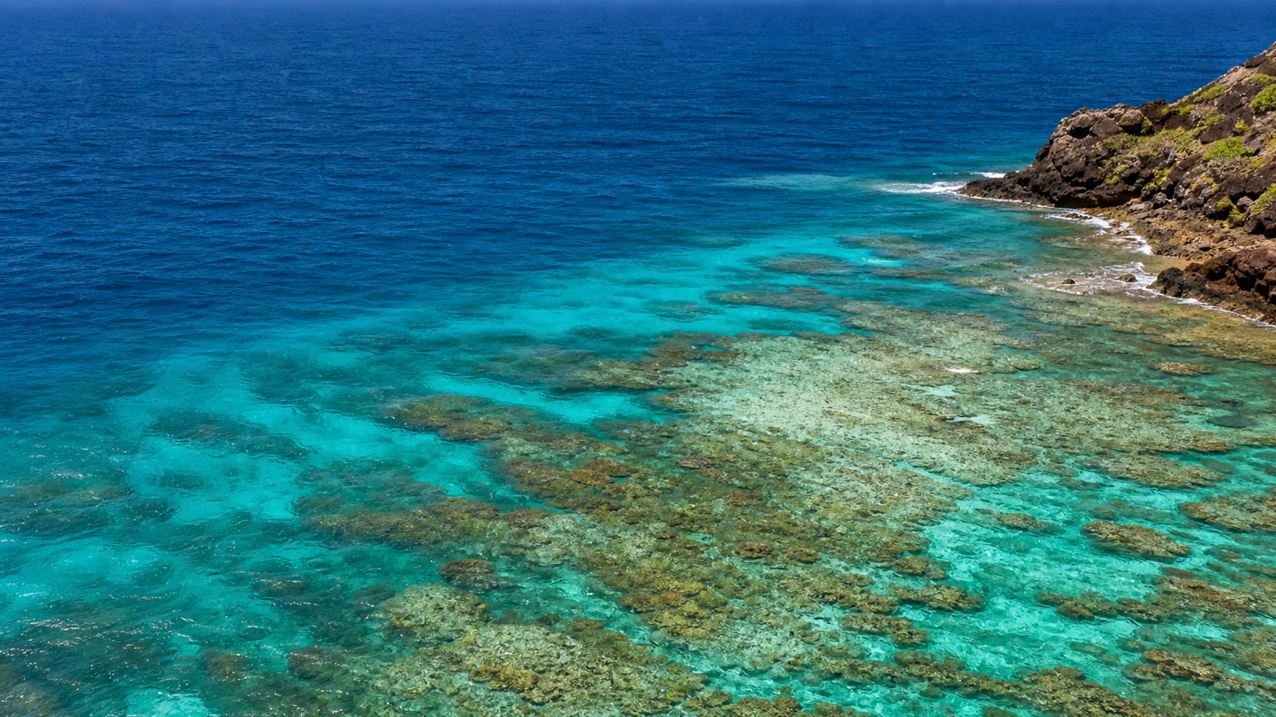 Open-ocean blue meeting a luminous coral shelf, high coastal viewpoint and natural gradients, original 4K ocean wallpaper