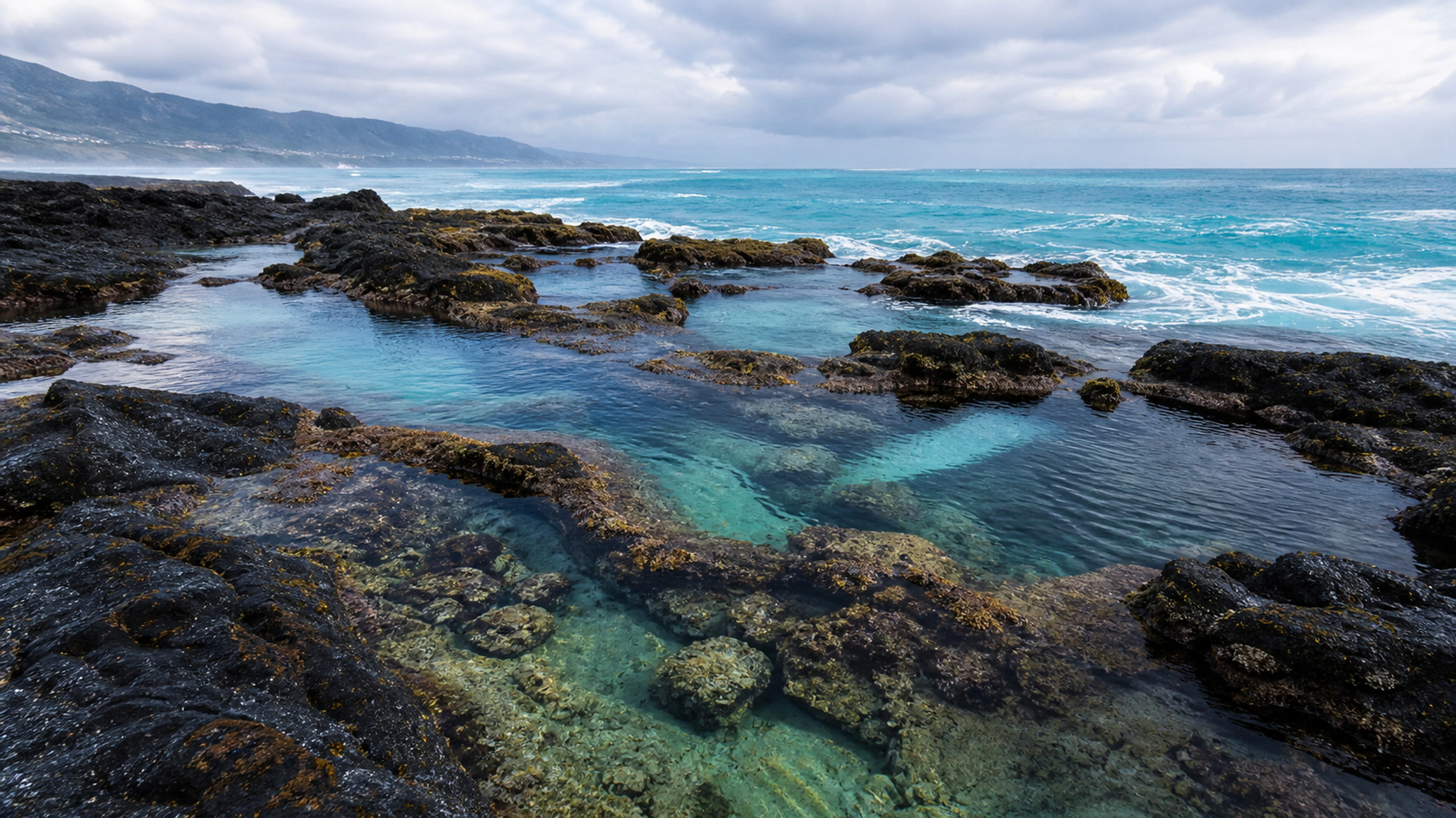 Clear sea pools across dark coastal rock, turquoise channels and soft overcast daylight, original 4K ocean wallpaper