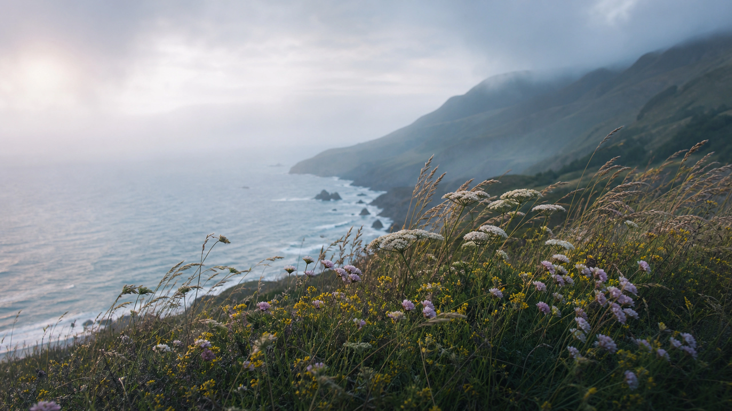 Wind-bent coastal wildflowers above a misty sea cliff, cool morning palette, original 4K flowers wallpaper