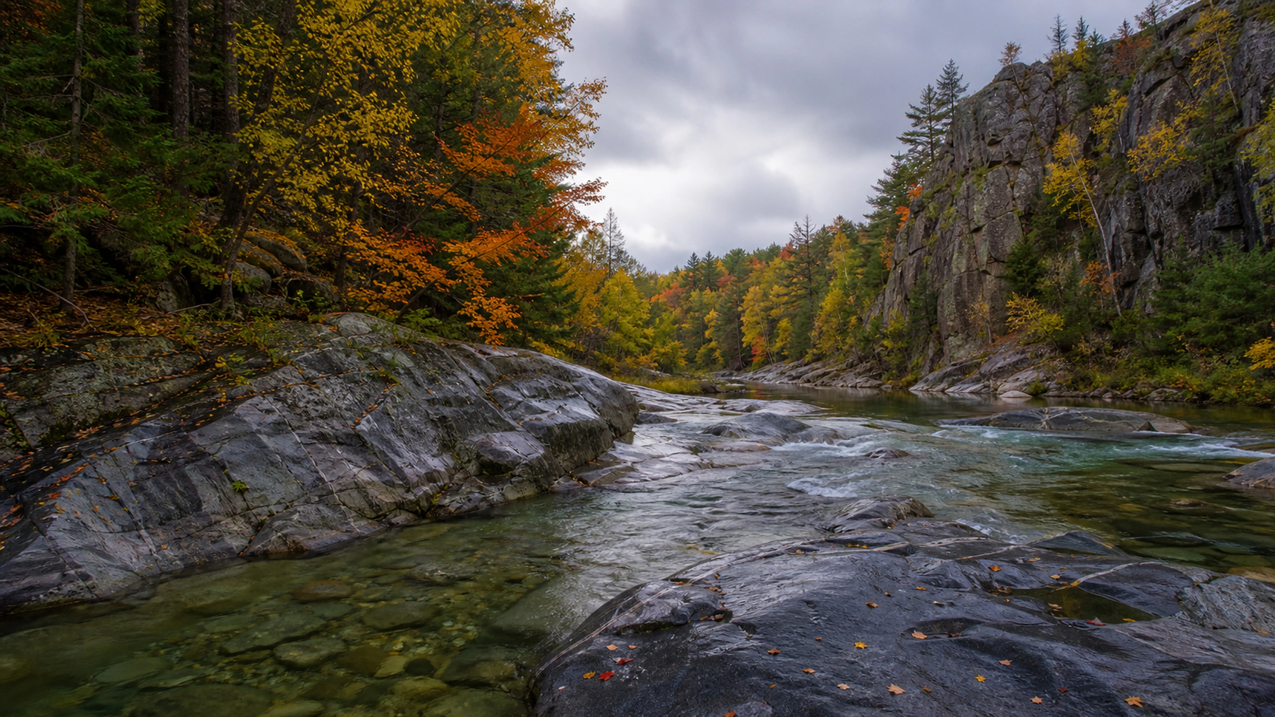 Granite river after autumn rain, dark wet rock and saturated but natural leaf color, original 4K lakes rivers wallpaper