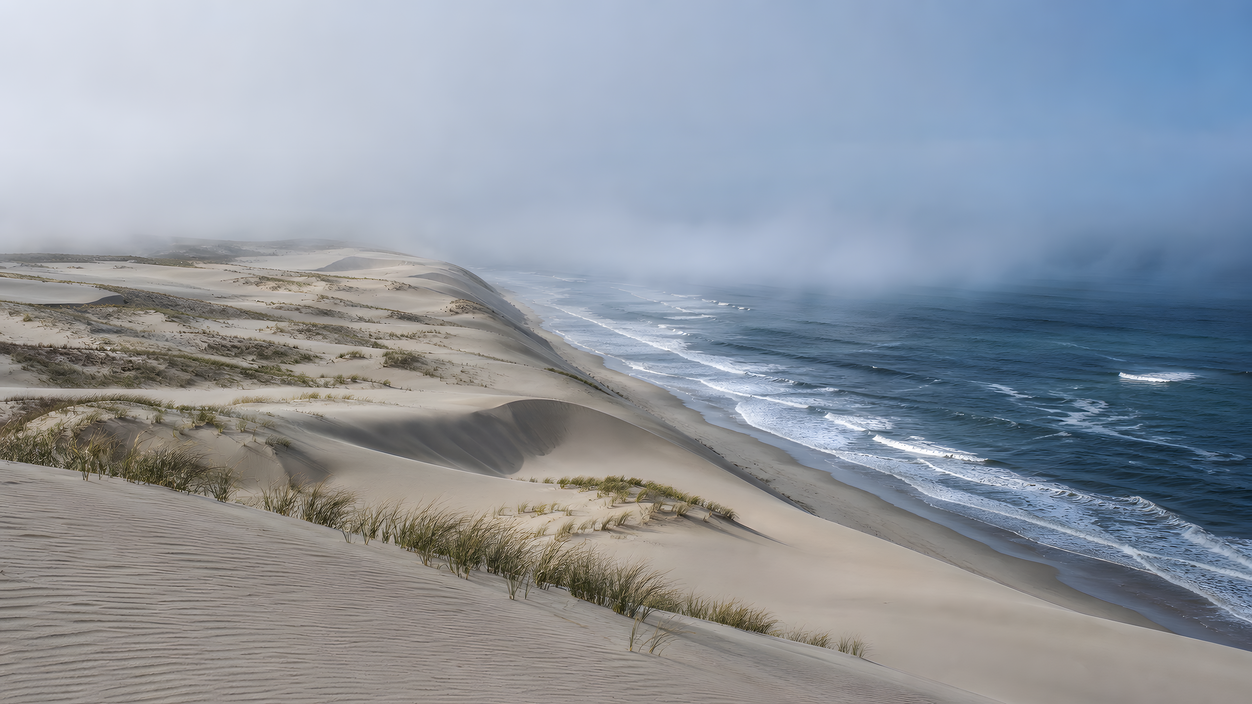 Immense untouched pale dunes meeting a cold steel-blue ocean as marine fog curls inland, seen from a distant lateral aerial with diagonal shoreline geometry and muted filtered daylight, original 4K nature wallpaper