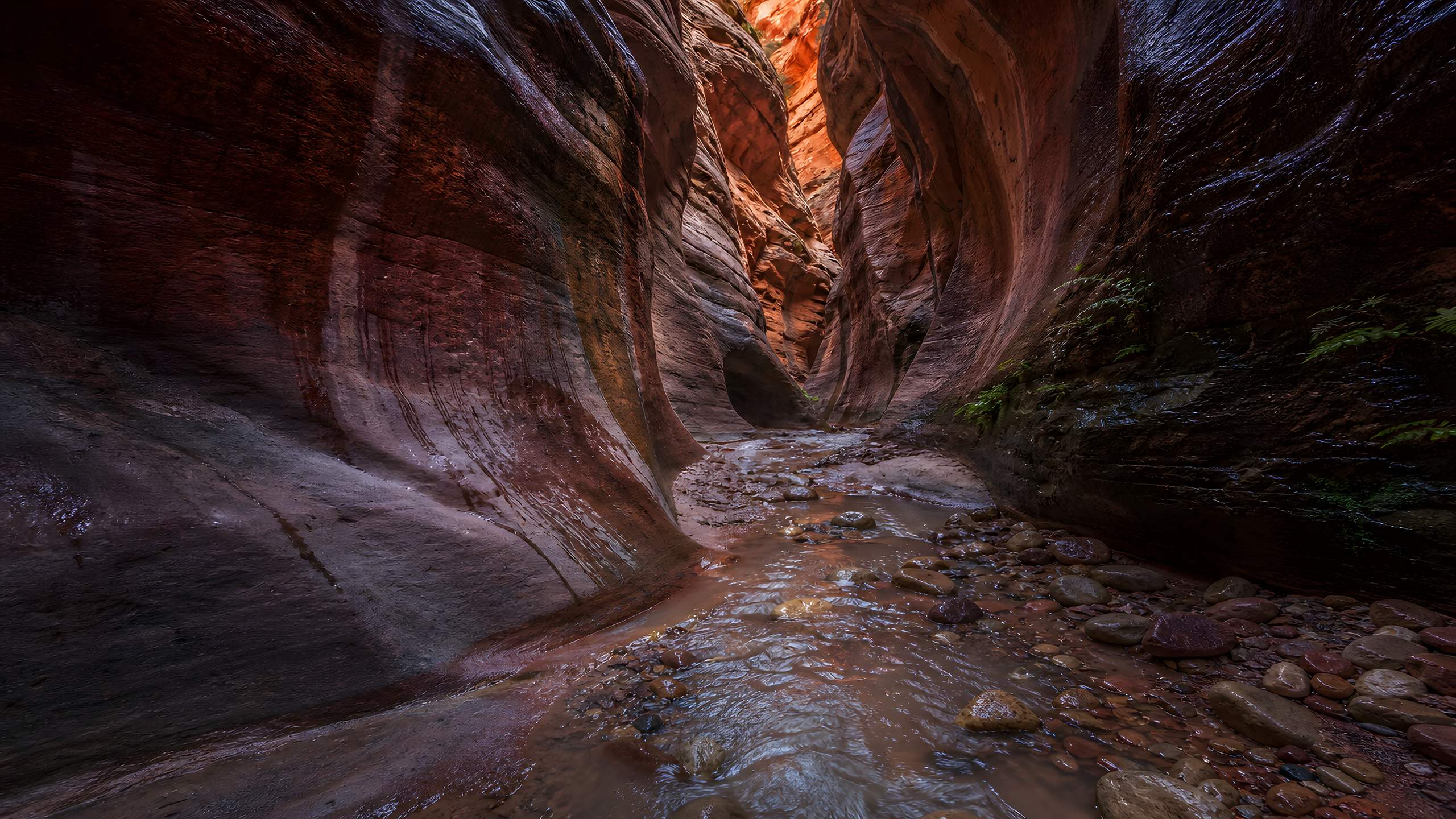 A remote red sandstone slot canyon just after a desert storm with shallow reflective runoff, pebbles and tiny ferns in damp cracks, seen from a low camera inside an S-curved bend under warm bounced light, original 4K nature wallpaper