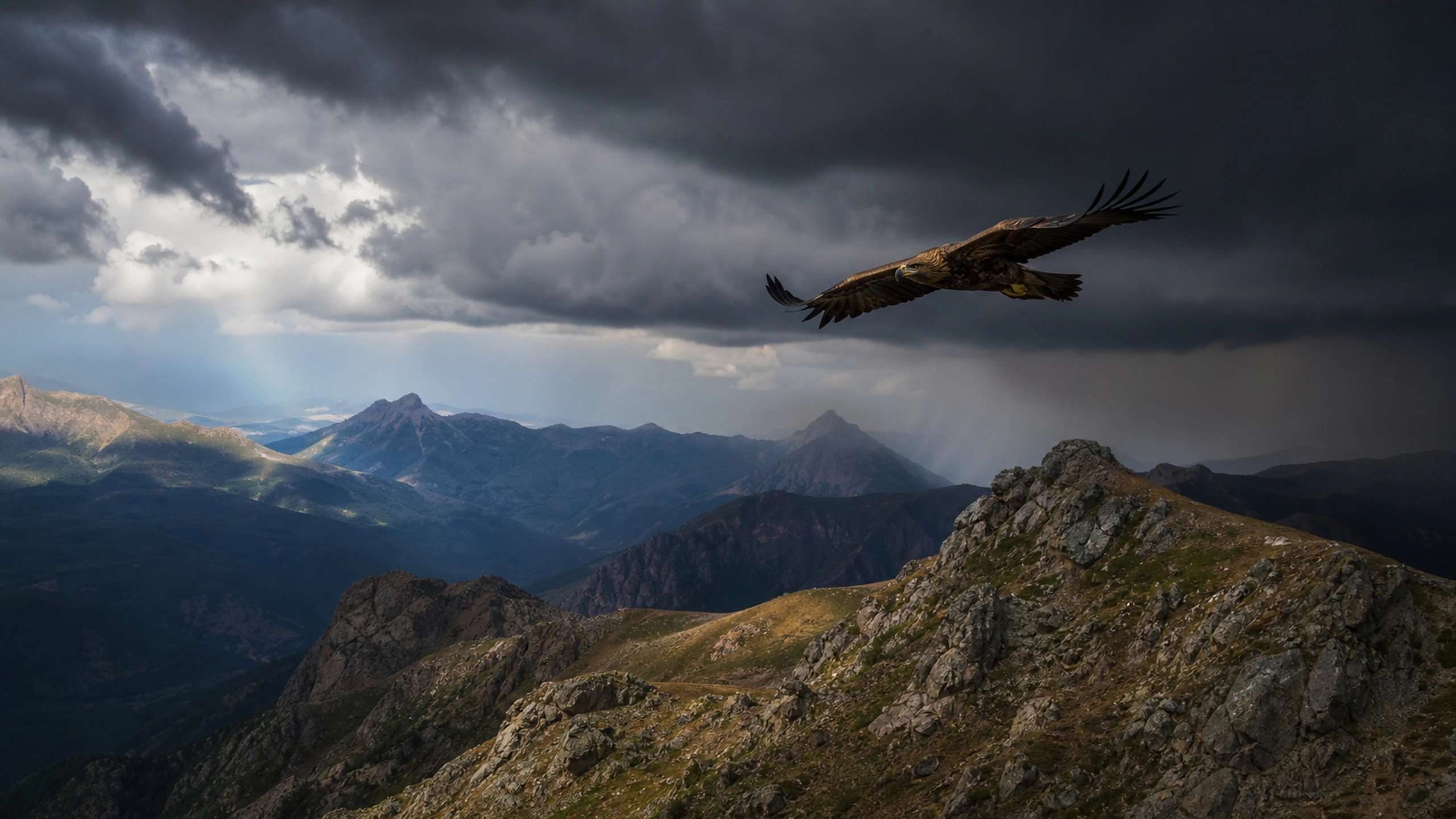 Bird gliding beneath the edge of a mountain storm with believable wing posture, original 4K birds wallpaper