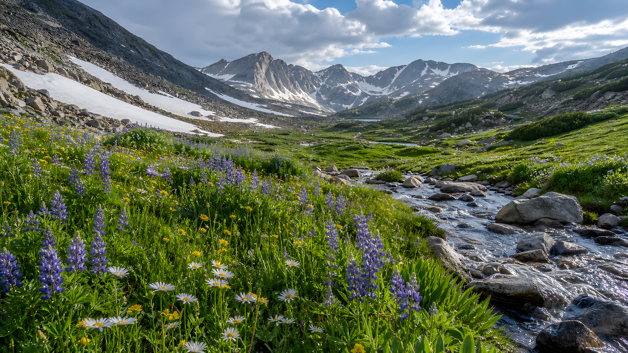 Naturally irregular lupine, alpine aster and yellow cinquefoil beside a braided snowmelt stream in a broad granite mountain saddle under crisp post-storm morning light, original 4K flowers wallpaper