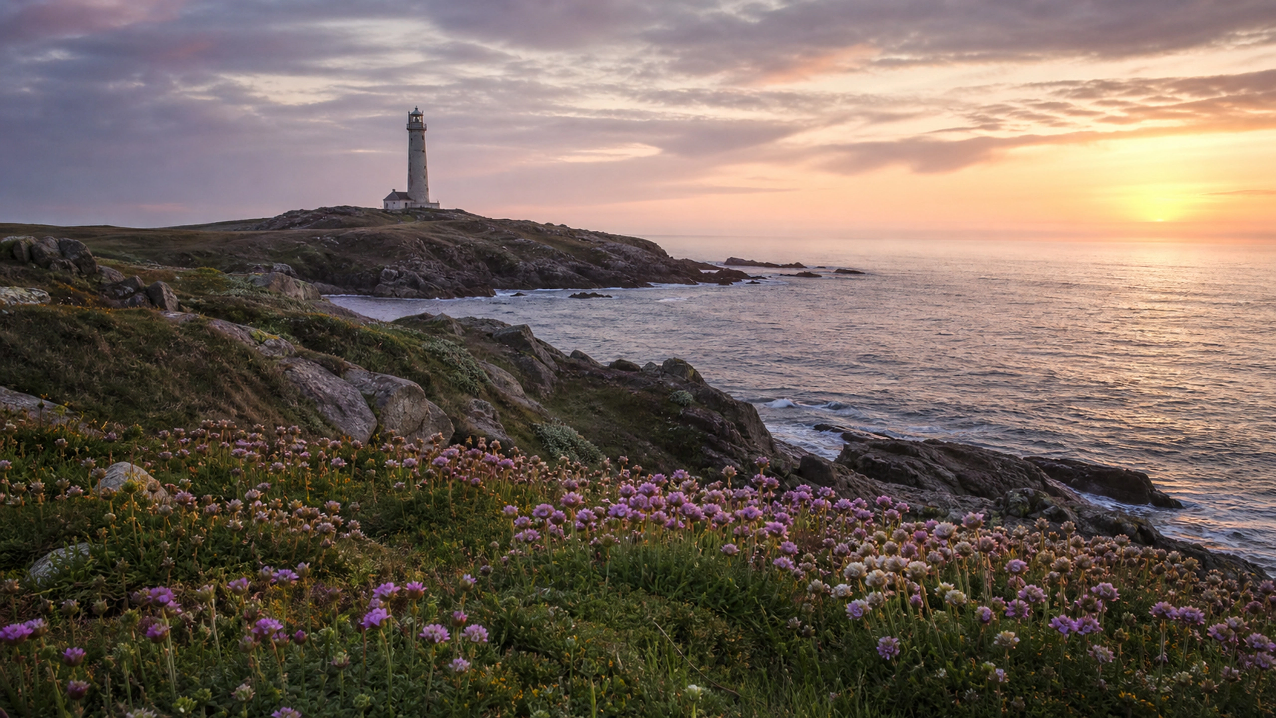 Distant lighthouse beyond a spring headland covered in native coastal flowers, original 4K landmarks wallpaper
