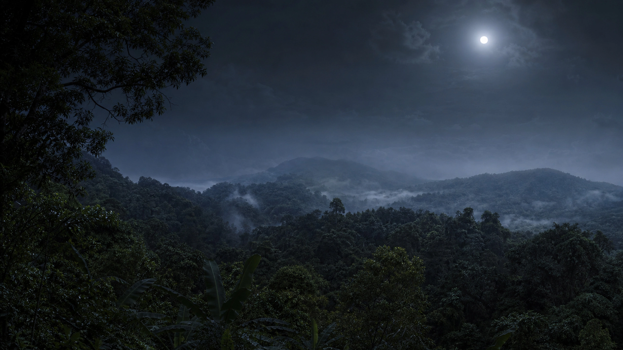 Restrained moonlit rainforest canopy with deep natural darkness and subtle mist, original 4K forests wallpaper