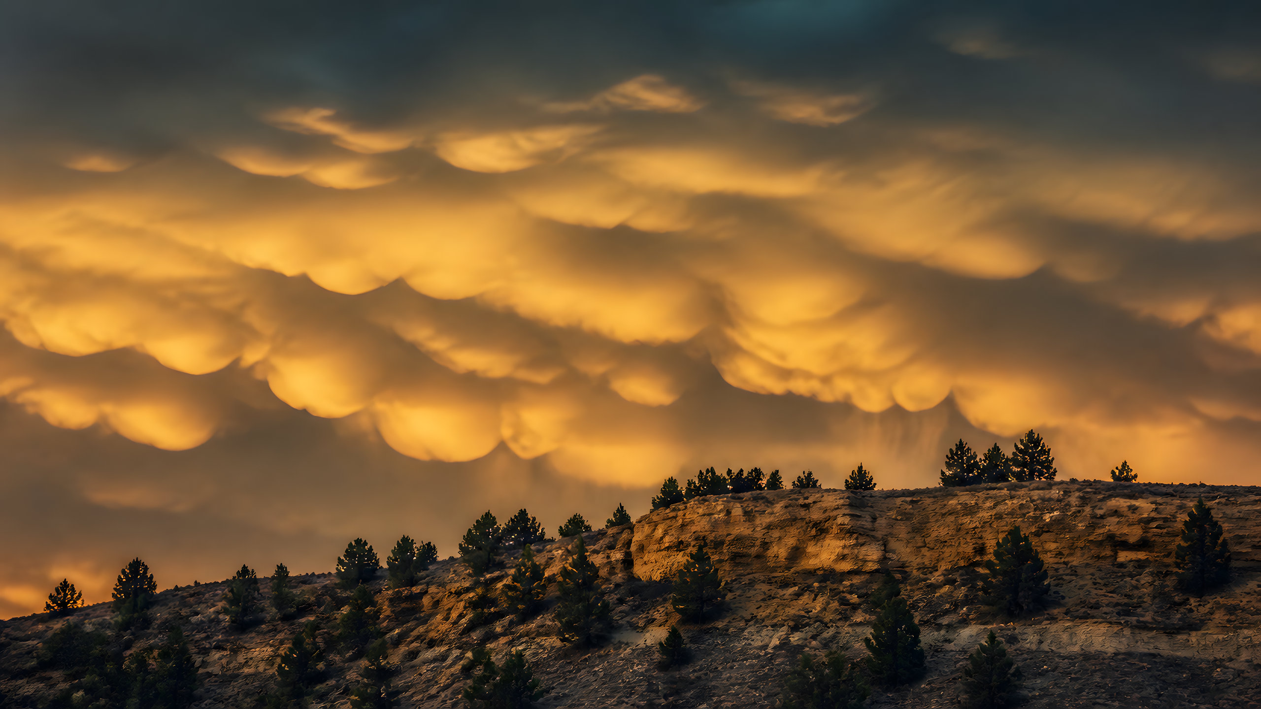Honey-amber mammatus clouds above a dry cedar-dotted rocky mesa