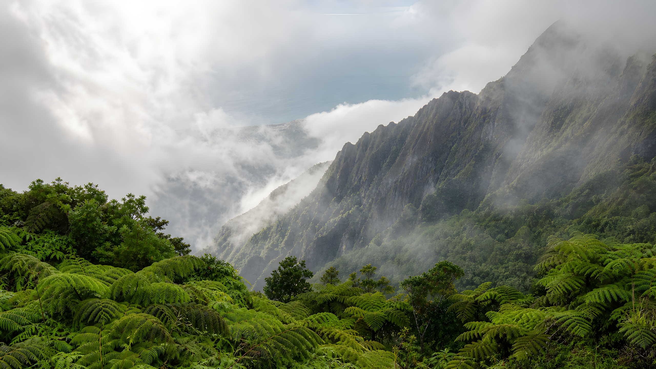 An ancient tropical volcanic ridge rising diagonally above a pristine tree-fern canopy as translucent summer cloud rolls across mossy cliff ribs, original 4K mountains wallpaper