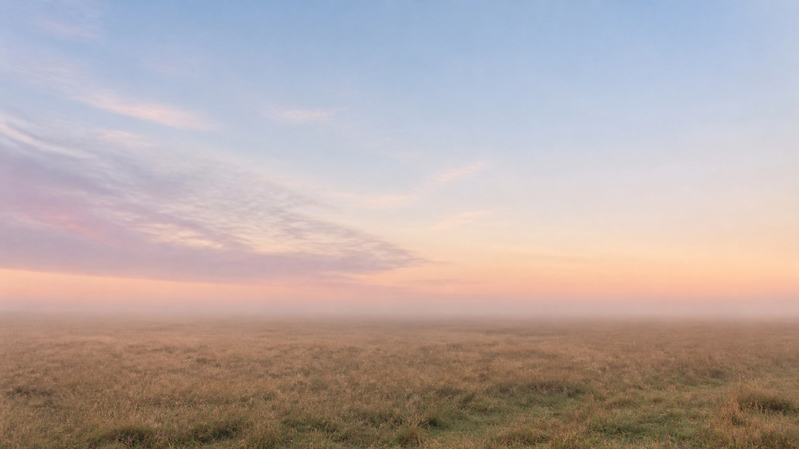 Nearly empty grass plain fading into pastel fog with one subtle horizon, original 4K pastel wallpaper