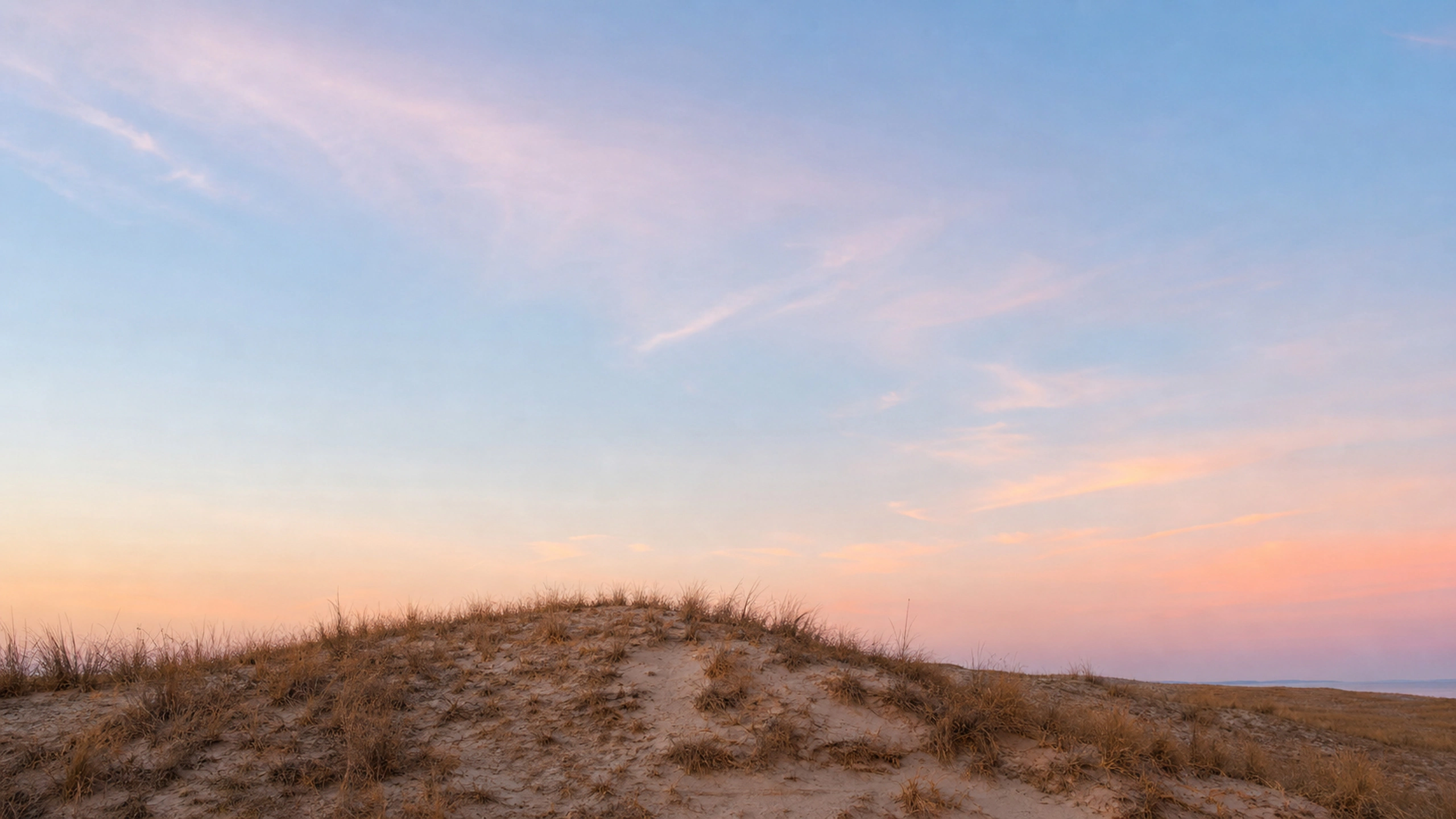 Single low dune ridge under a large quiet pastel sky at first light, original 4K pastel wallpaper