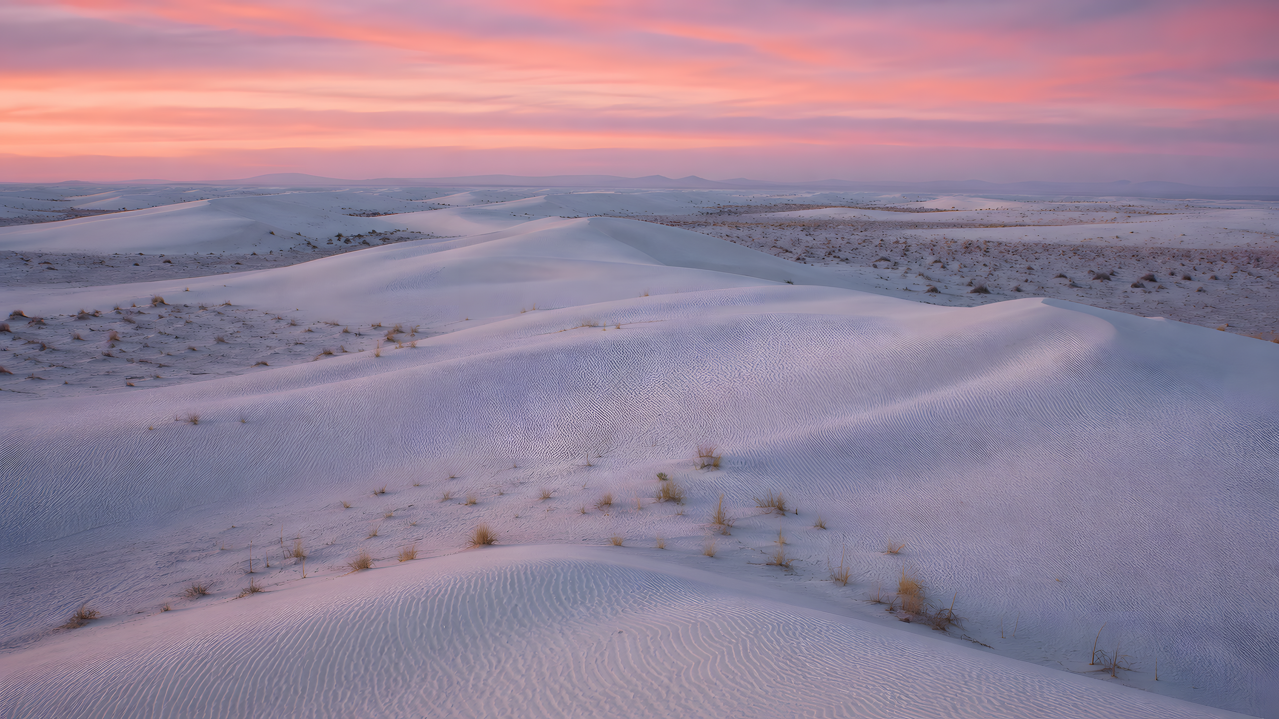 Wind-carved white gypsum dunes with fine ripples and sparse dry grasses beneath a layered shell-pink twilight sky, seen from a high oblique viewpoint across intersecting arcs and lavender shadows, original 4K pastel wallpaper
