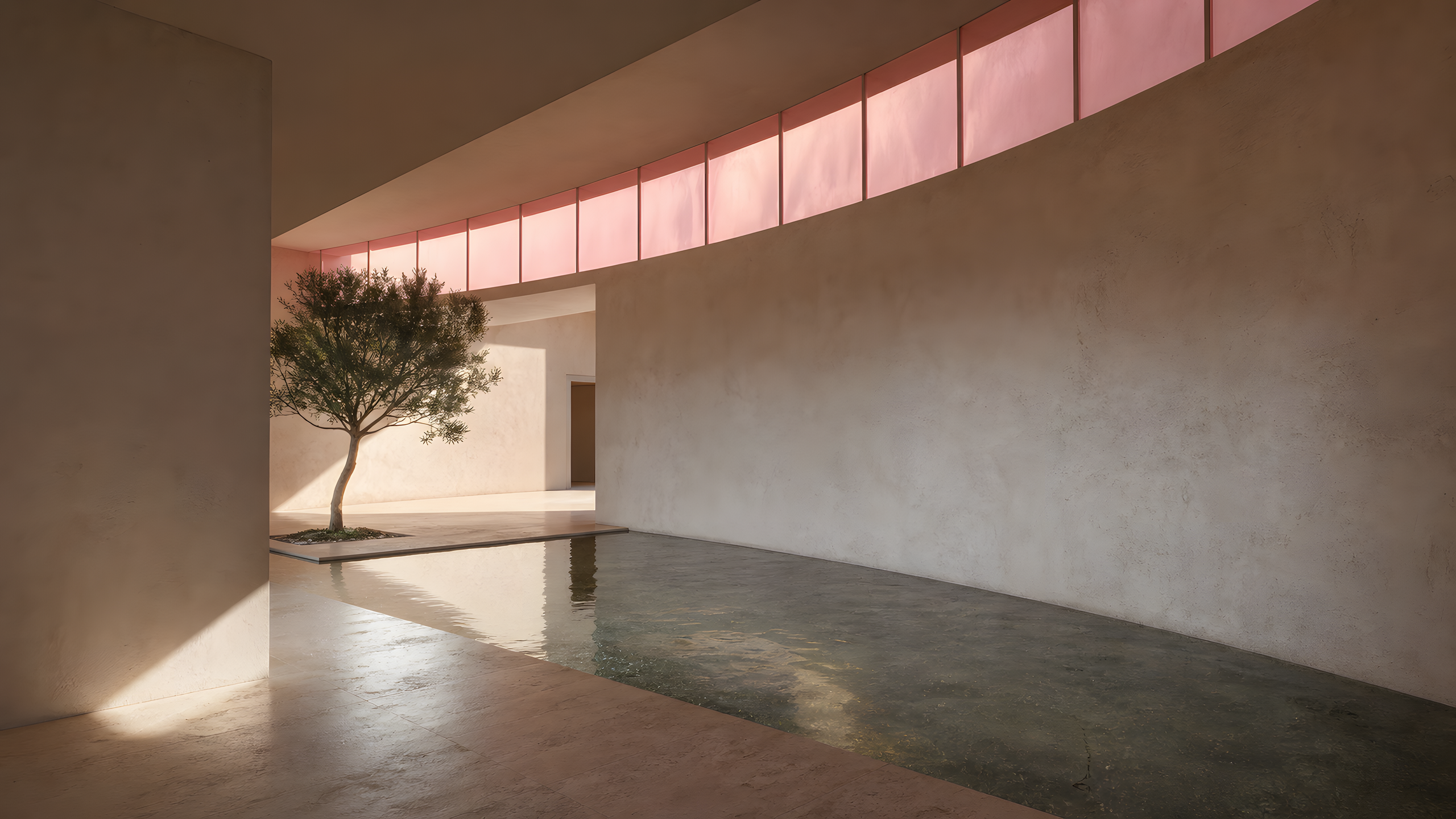 A wholly original minimal lime-plaster atrium with curved walls, a shallow reflecting pool, one olive tree and pale limestone, photographed from a shaded corner beneath rose-filtered late-afternoon clerestory light, original 4K pastel wallpaper