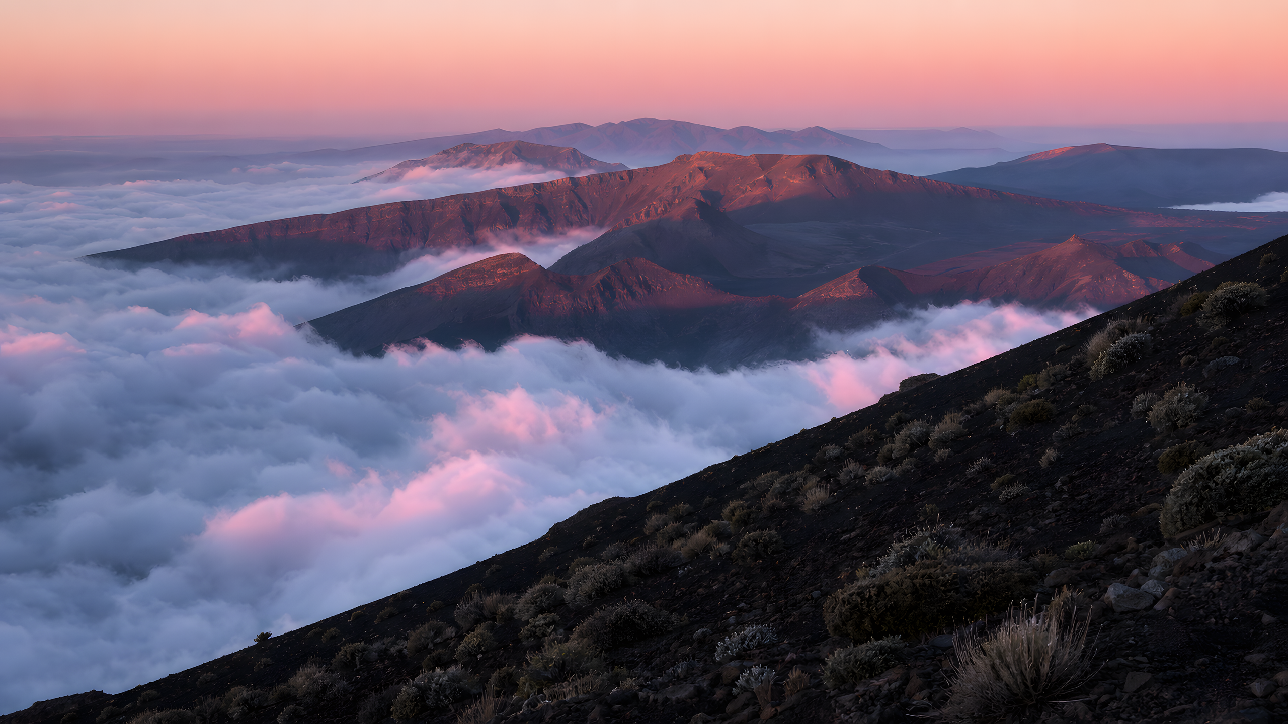 A remote volcanic caldera rim rising above a dense cloud inversion that catches soft rose sunrise light, compressed by a telephoto view across dark cinder slopes and layered distant ridges, original 4K pastel wallpaper