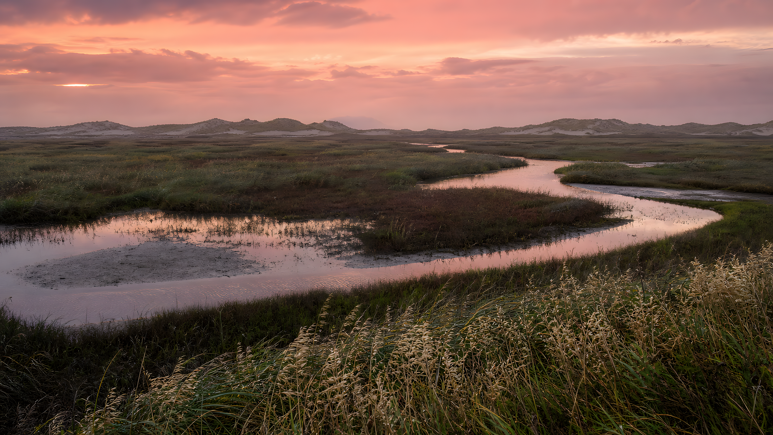 A broad undeveloped coastal salt marsh with winding tidal creeks, pale seed heads, still pools and distant dunes, photographed from a natural berm beneath a dusty-pink evening sky after rain, original 4K pastel wallpaper