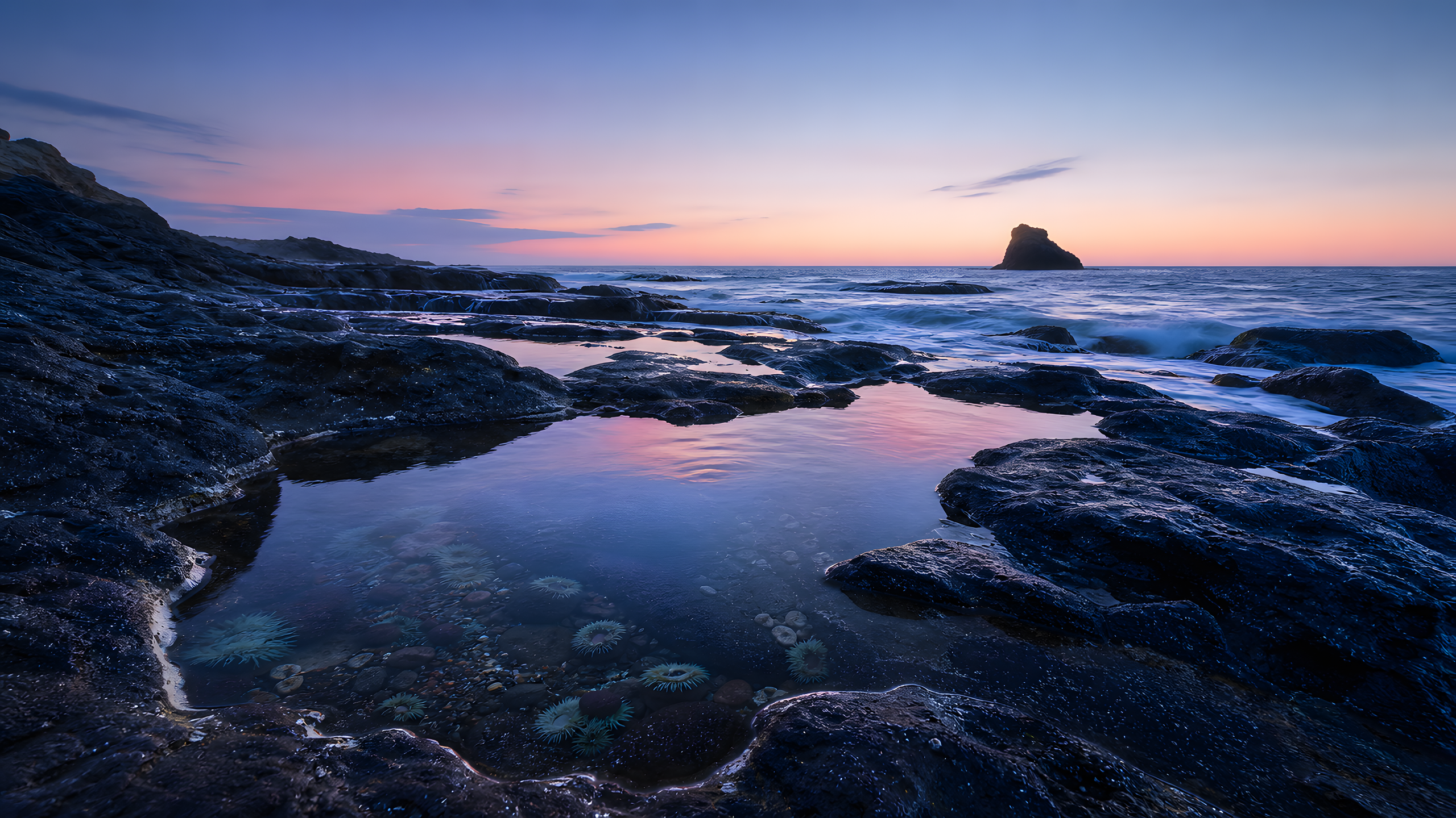 Irregular black basalt tide pools reflecting a pale pink and periwinkle twilight, with small anemones, wet rock, gentle foam and an offset sea stack viewed from a low coastal position, original 4K pastel wallpaper