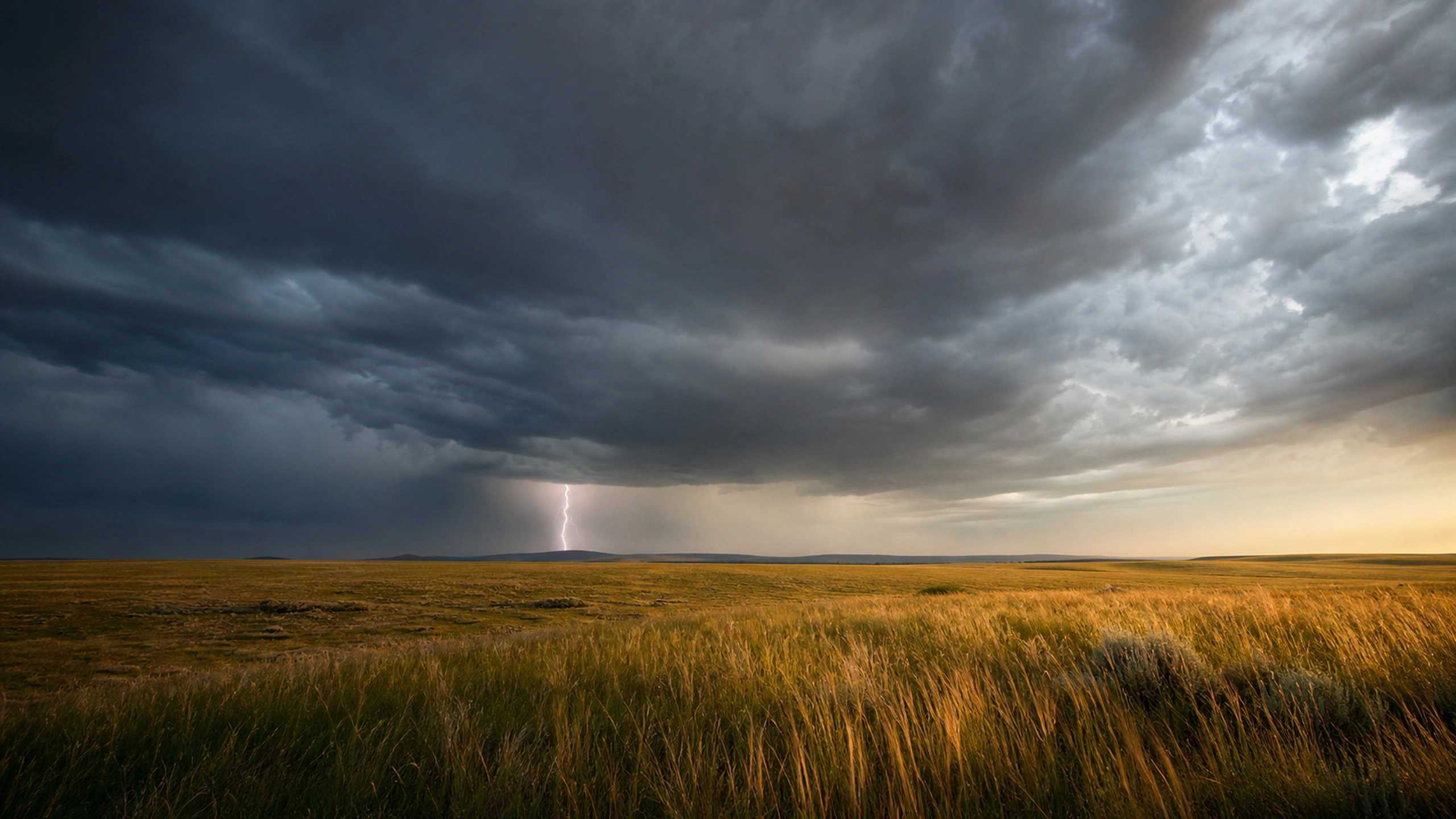 Single distant lightning strike beneath a dark storm over tall windblown grass, original 4K weather wallpaper