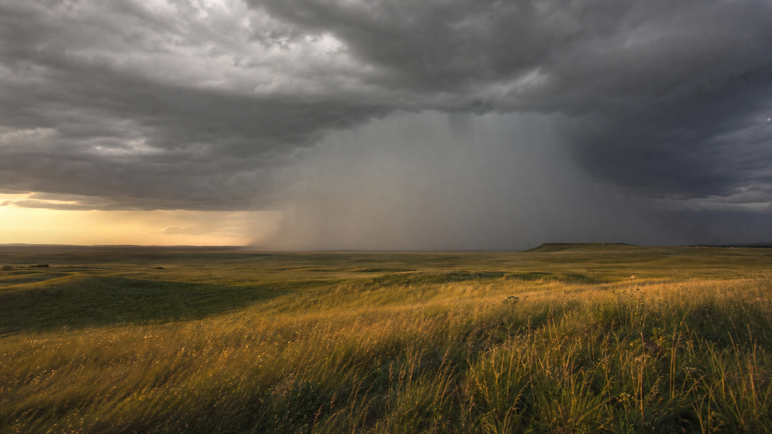 Visible rain core crossing an open plain while late sunlight illuminates the foreground, original 4K weather wallpaper