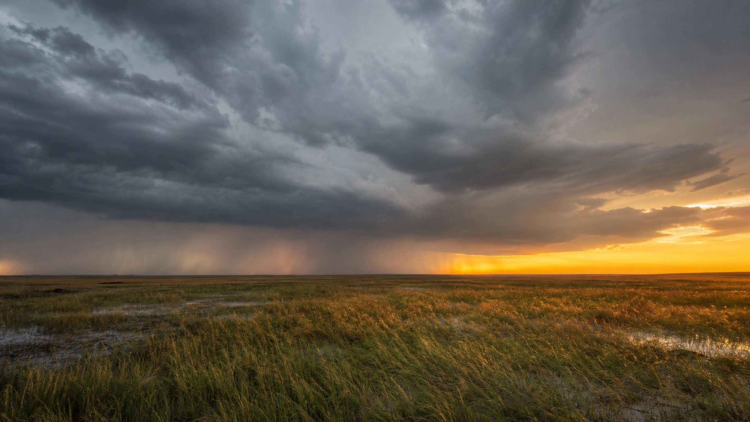 Wet flattened prairie beneath clearing storm clouds and a thin band of golden horizon light, original 4K weather wallpaper