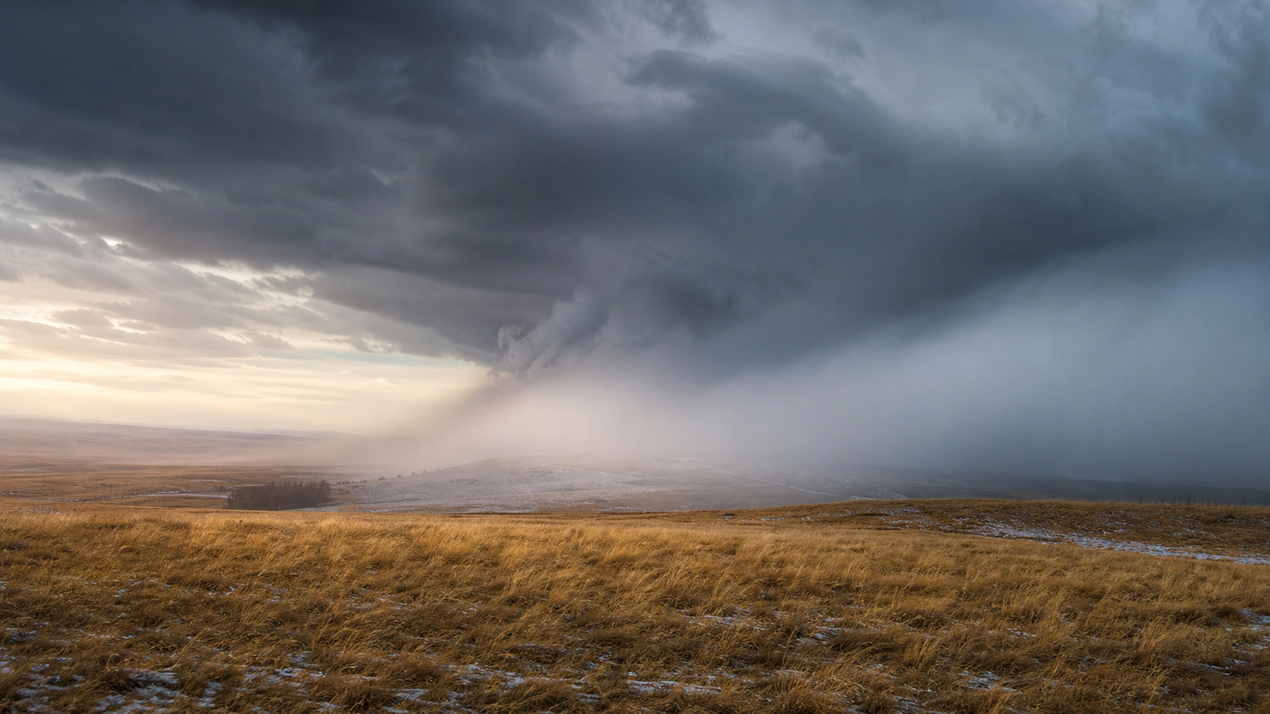 Snow squall sweeping across dormant prairie, low visibility and cold natural color, original 4K weather wallpaper