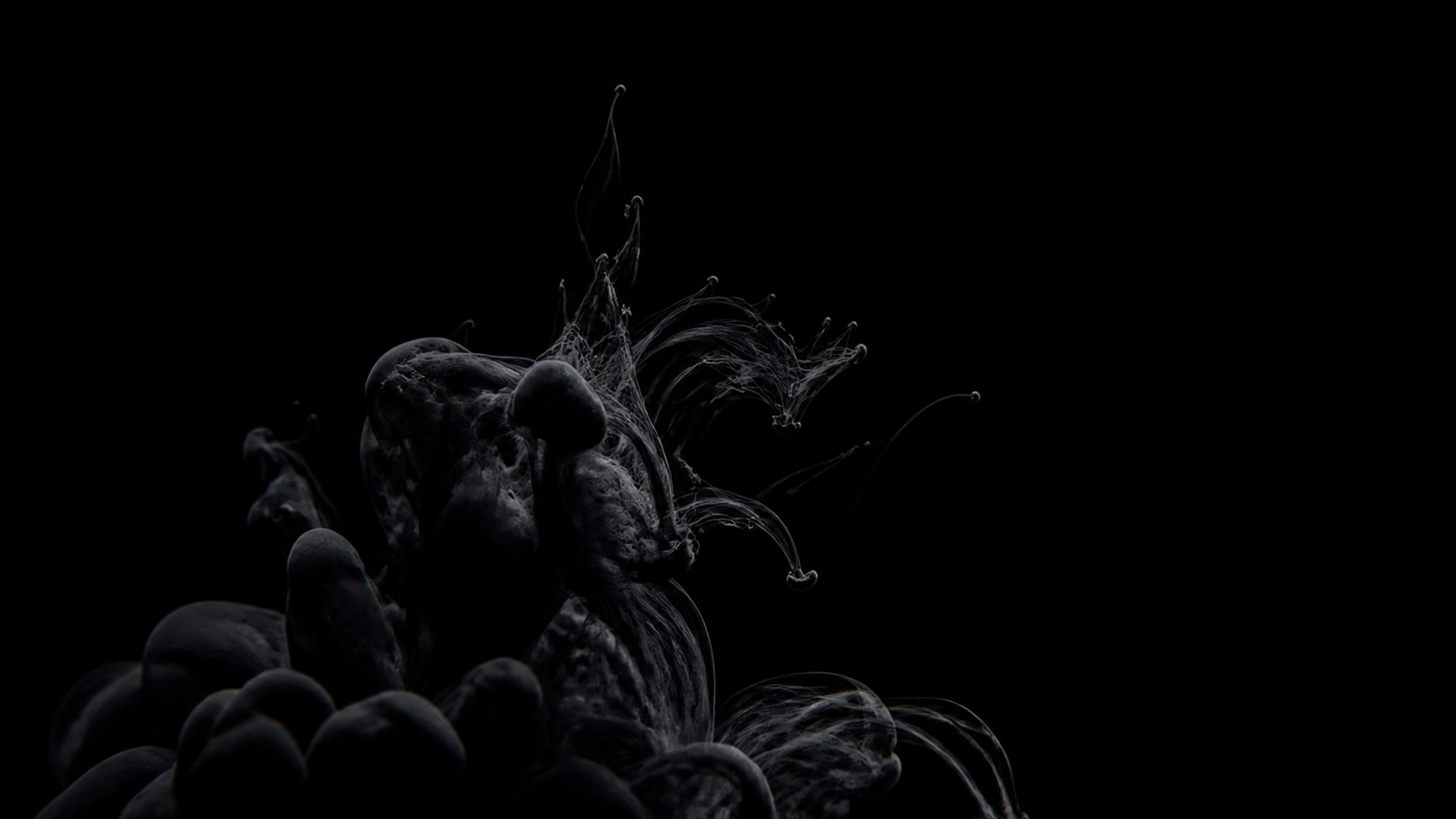 Fine black ink tendrils unfolding through clear water against a true-black field, scientific macro detail and large negative space, original 4K dark amoled wallpaper