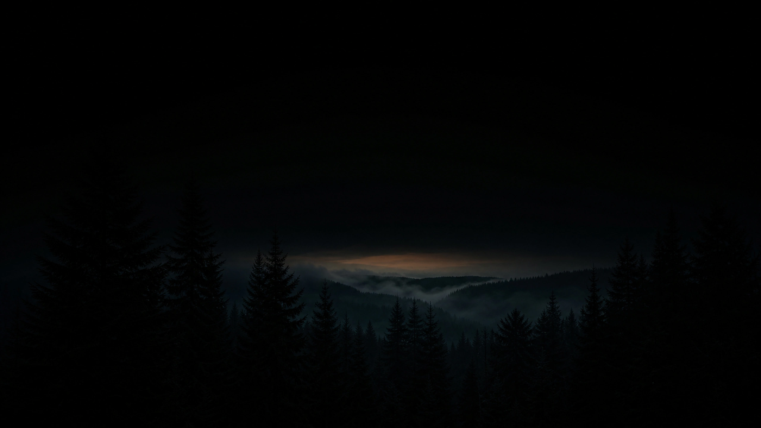 Dense black pine silhouettes framing a narrow fog-filled valley, almost no sky detail and one distant muted light, original 4K dark amoled wallpaper
