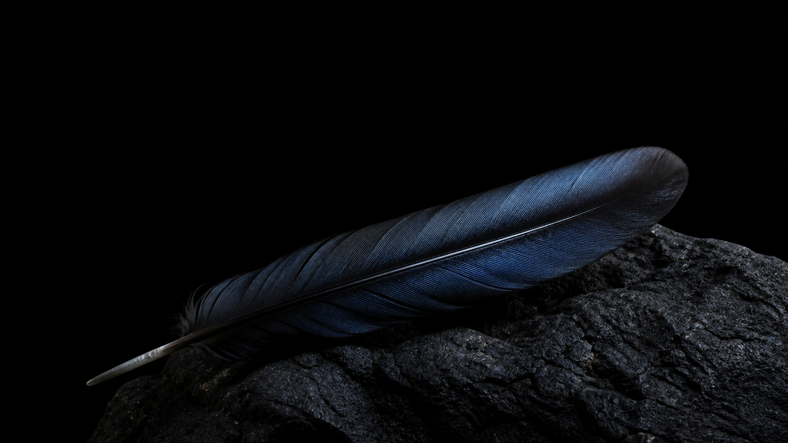 One naturally iridescent black raven feather resting across dark volcanic stone, raking micro-light and broad black field, original 4K dark amoled wallpaper