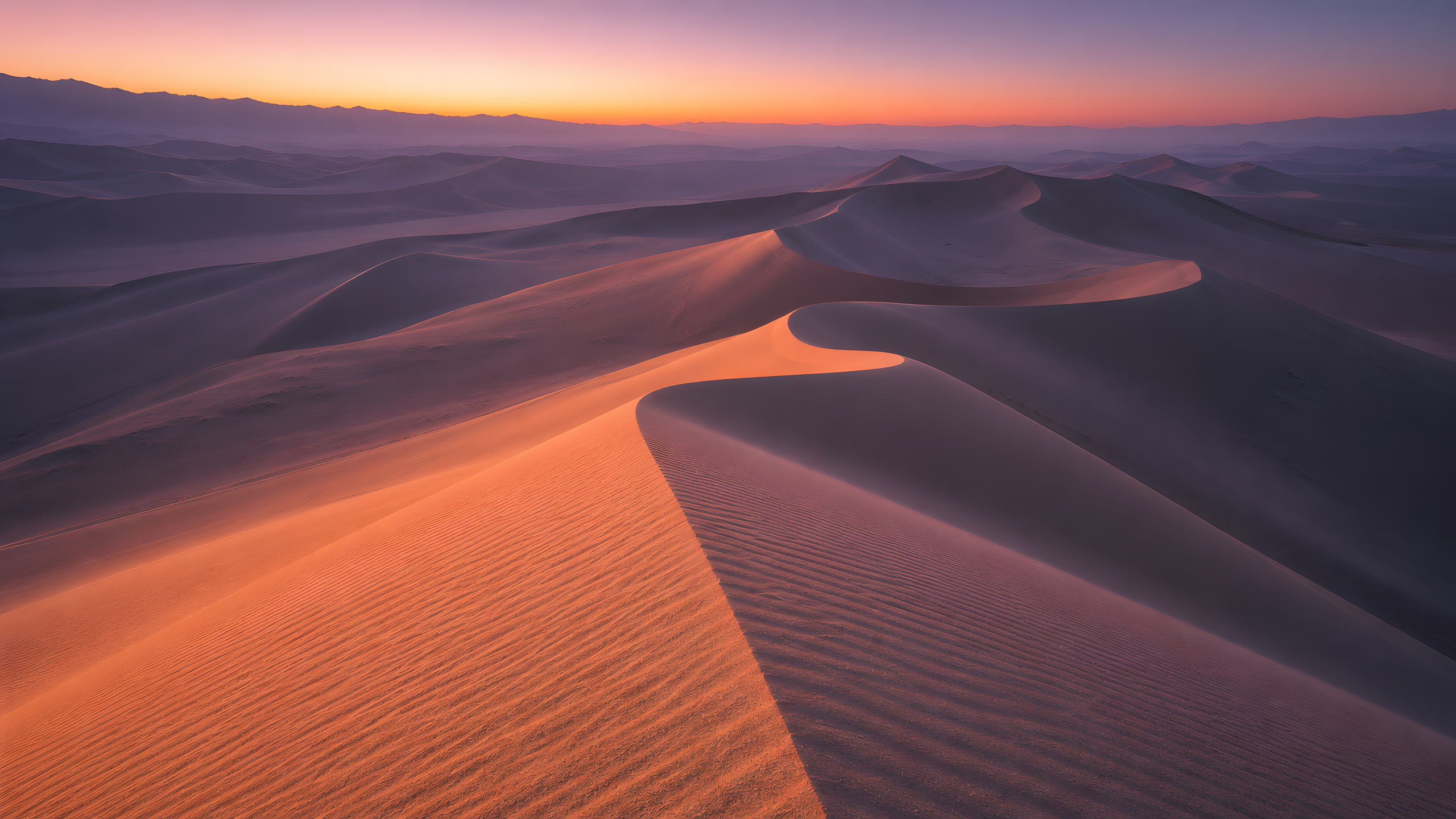Elevated view across apricot sand dunes with peach sunrise light and long violet shadows