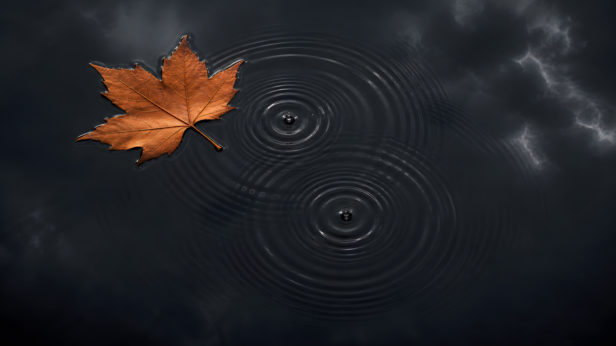 One complete ochre leaf floating on dark rainwater as two fresh drops form intersecting circular ripples through the surrounding negative space, original 4K minimal wallpaper