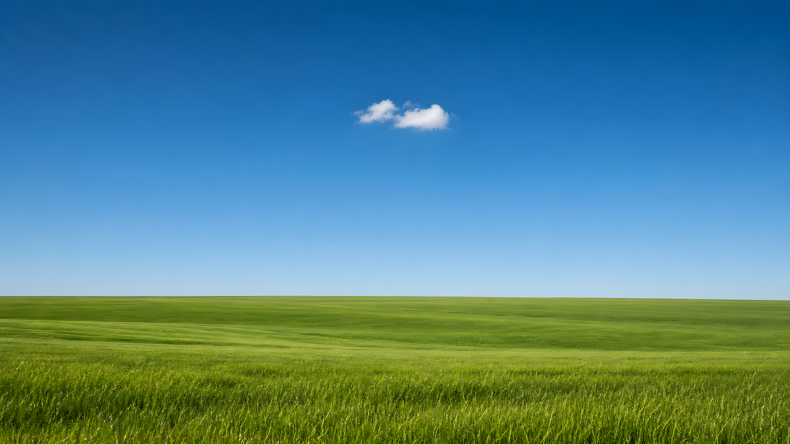 An immense smooth spring grassland below one small white cloud, with the natural horizon placed in the lower fifth beneath a broad blue sky, original 4K minimal wallpaper