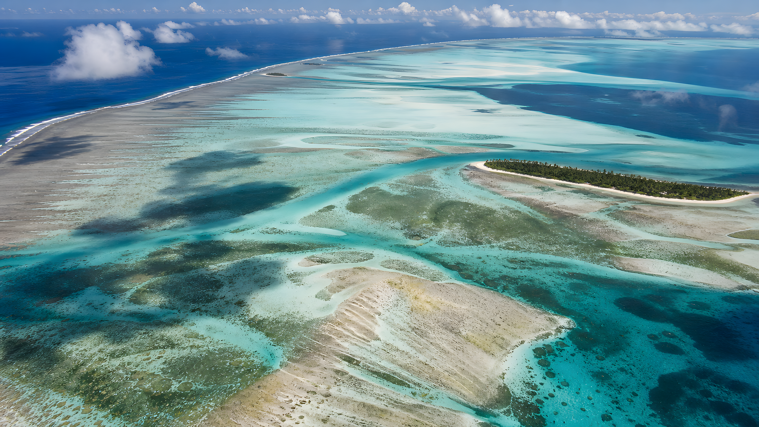 A high oblique aerial view of branching pale sandbars, shallow cyan channels, darker seagrass patches and a thin palm-covered coral motu at spring low tide, original 4K beaches wallpaper