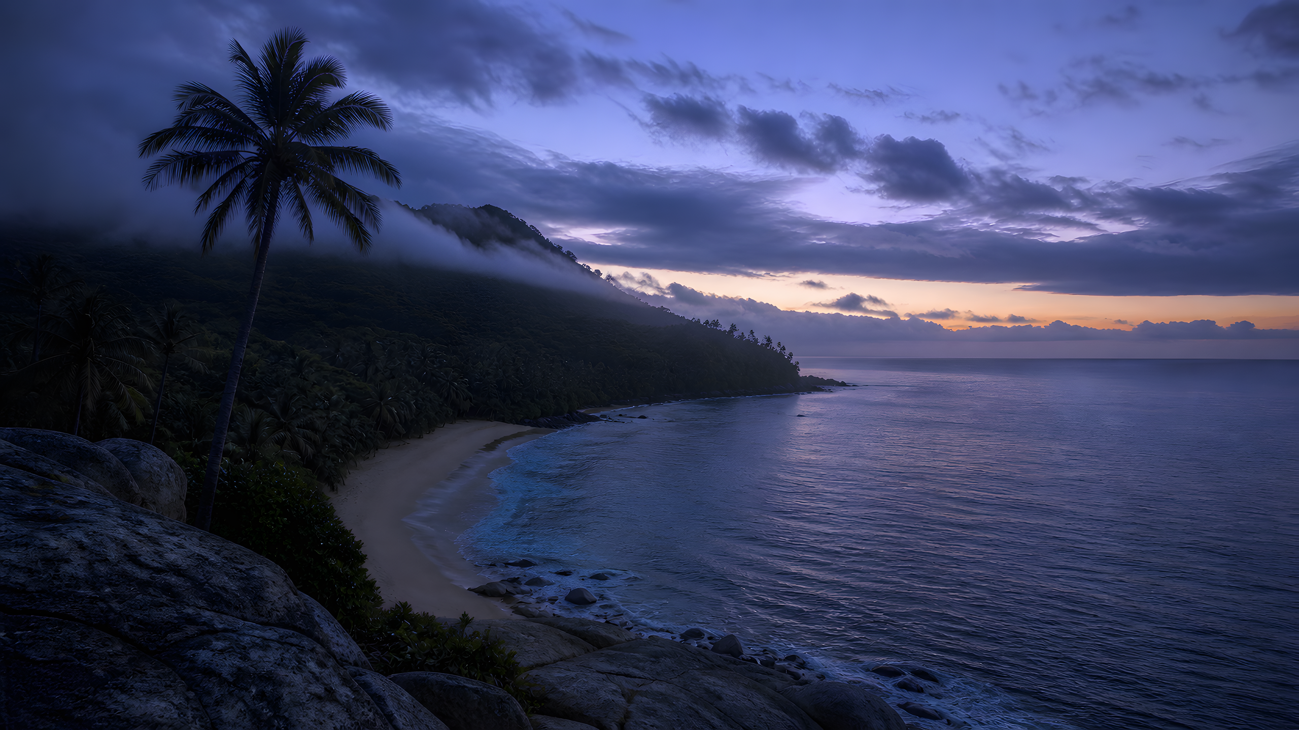 A remote palm headland above a narrow crescent beach, gentle long-period waves and a dark forest silhouette as first light appears beneath predawn cloud, original 4K beaches wallpaper